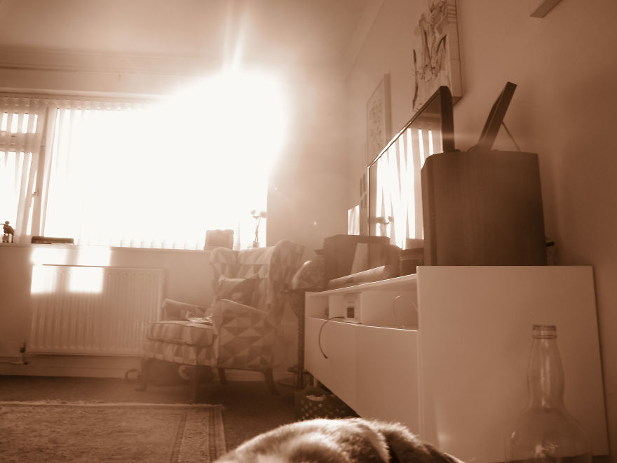 Nhiếp ảnh dễ thương: Nhìn Thế giới qua ống kính của cậu bé 19 tháng tuổi - Ảnh 22.