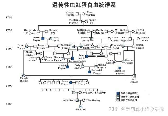 Gia tộc Fugate: Những người ngoài hành tinh với làn da xanh bị cô lập với thế giới hàng trăm năm - Ảnh 4.