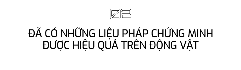 Big Tech sẽ giúp chúng ta có thuốc kéo dài tuổi thọ trong 10 năm tới: Hậu quả của điều đó là gì? - Ảnh 7.