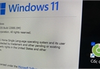 Ứng dụng Việt nổi tiếng được Microsoft xác nhận gặp vấn đề với Windows 11