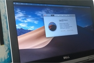 Steve Jobs từng nhiều lần cố thuyết phục Dell bỏ Windows để chuyển sang Mac OS
