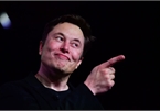 Elon Musk chứng minh cho cả thế giới thấy độ mê tín của những tay chơi tiền số