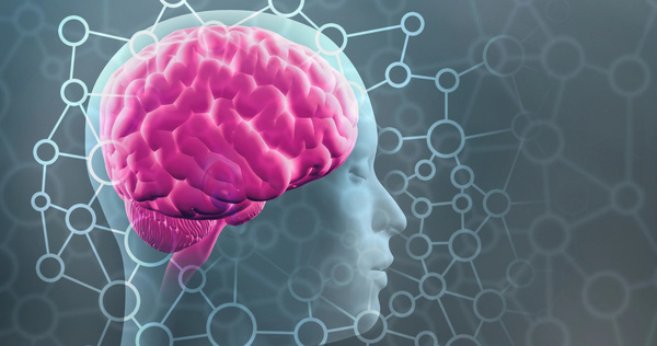 Công nghệ mới hứa hẹn khả năng xoá bỏ những ký ức tồi tệ đã qua