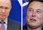 Elon Musk thách Tổng thống Putin đấu tay đôi với phần thưởng là Ukraine