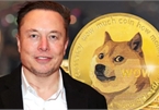 Elon Musk gọi tên Dogecoin trong đề xuất mới nhất cho Twitter: Ý định gia nhập Twitter đã rõ?