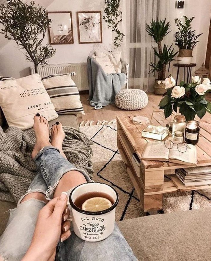 Cách chọn cây cảnh phù hợp với từng phòng để mang lại hiệu ứng thẩm mỹ, trang trí cực chuẩn - Ảnh 1.