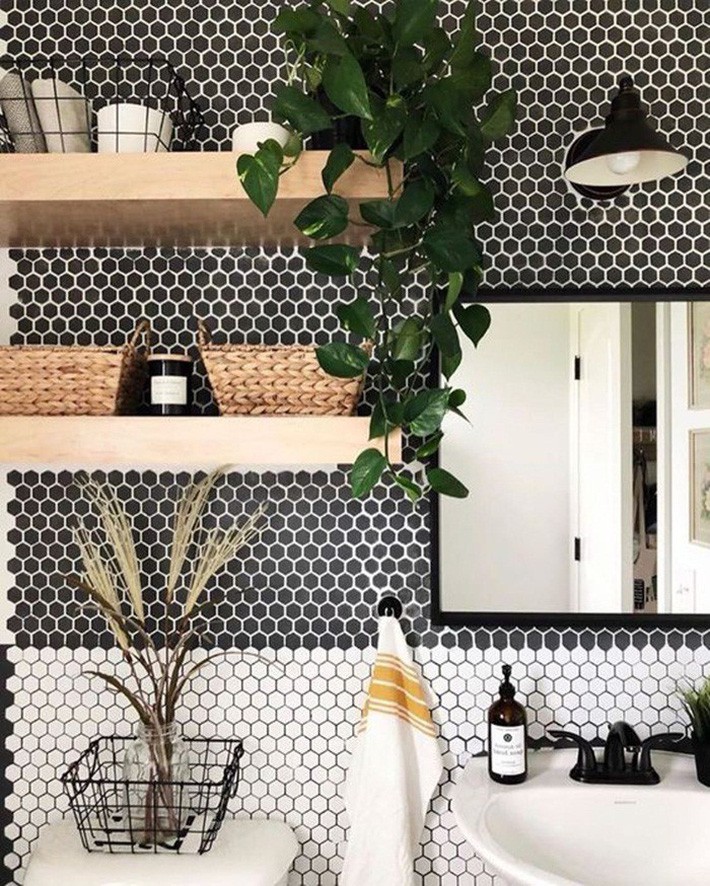 Cách chọn cây cảnh phù hợp với từng phòng để mang lại hiệu ứng thẩm mỹ, trang trí cực chuẩn - Ảnh 4.