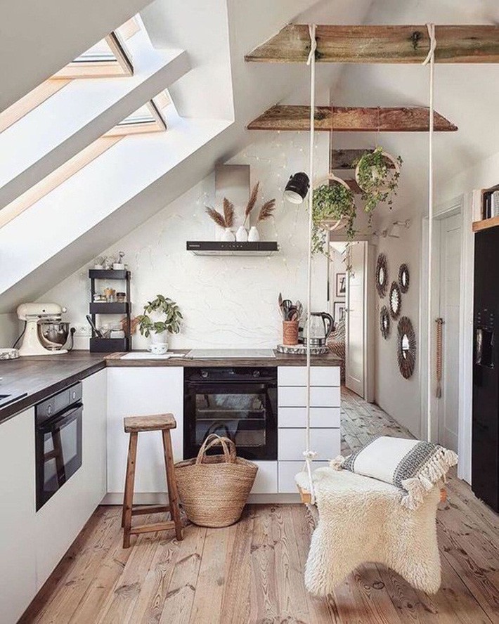 Cách chọn cây cảnh phù hợp với từng phòng để mang lại hiệu ứng thẩm mỹ, trang trí cực chuẩn - Ảnh 6.