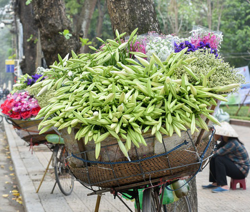 Hoa loa kèn đầu mùa rợp phố Hà Nội, rẻ bằng một nửa năm ngoái nhưng không mấy ai mua - Ảnh 1.