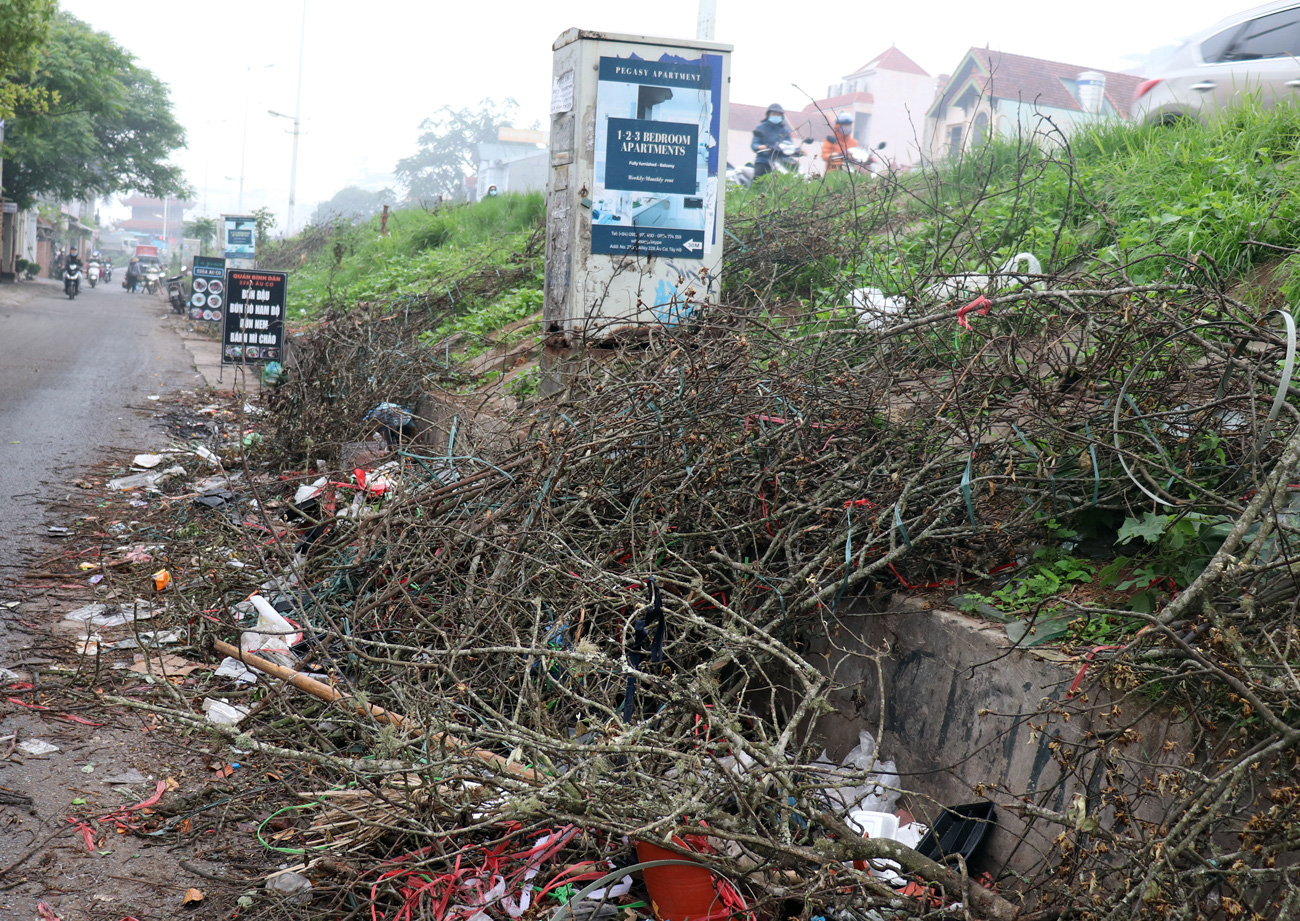 Hà Nội: Ế ẩm chưa từng thấy, tiểu thương ngậm ngùi vứt bỏ hoa lê trắng thành đống chờ đốt bỏ - Ảnh 7.