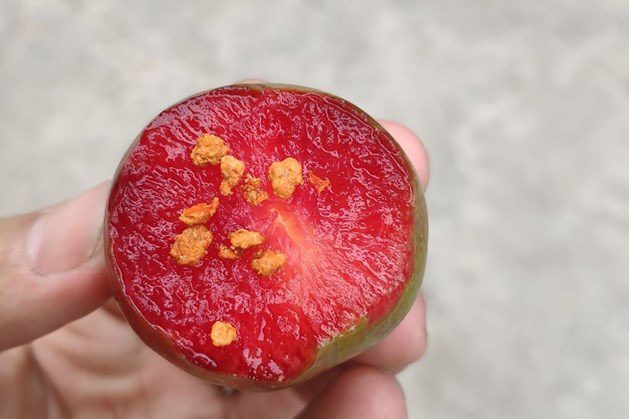 Bí kíp chọn mận ngon do chủ sạp hoa quả chia sẻ chị em không thể bỏ qua - Ảnh 5.