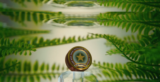 Thương hiệu vang bóng một thời (kỳ III): Cao Sao Vàng qua kỳ hoàng kim, bị lãng quên trong nước nhưng lại dậy sóng ở nước ngoài - Ảnh 1.