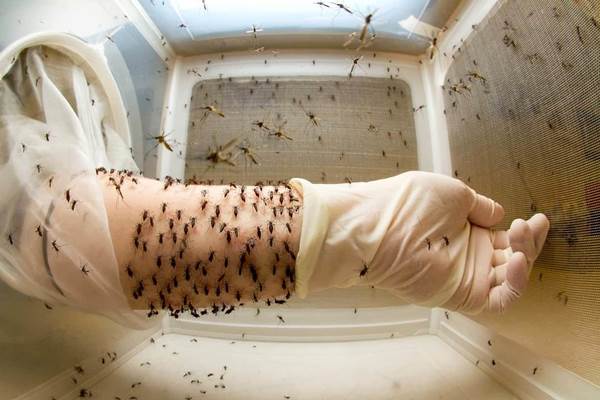 7 nghề được trả lương vô cùng hậu hĩnh nhưng chả mấy ai dám làm chứng minh câu nói