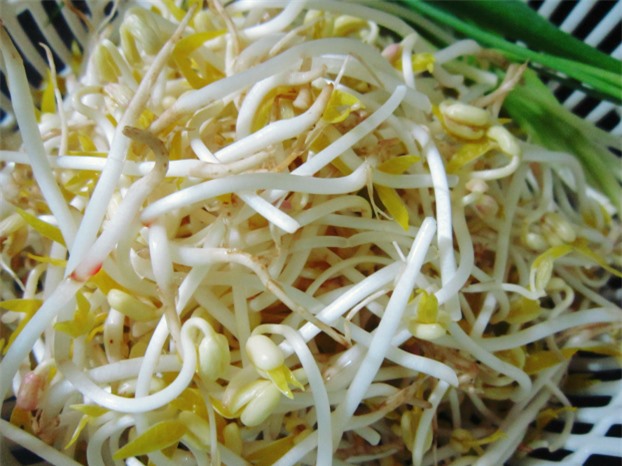5 loại rau củ ngậm đầy độc tố, người Việt vẫn ăn hàng ngày mà không biết - Ảnh 2.