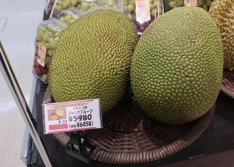 Làm giàu không khó: Gom hạt mít bán 200.000 đồng/kg - Ảnh 3.