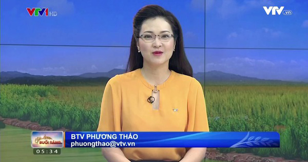 Đời thực giữ kín của MC VTV giọng miền Nam vừa quay trở lại Bản tin Thời sự 19h - Ảnh 2.