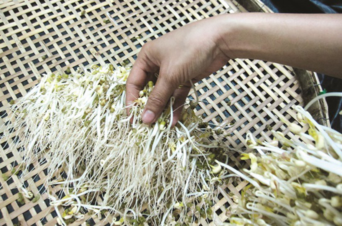 Muốn biết giá đỗ bán ngoài chợ có bị tiểu thương ngâm hoá chất hay không nhìn vào rễ là biết - Ảnh 1.