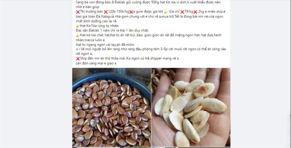 Hạt kơ nia rang béo bùi được chị em chốt đơn ầm ầm, hứa hẹn trở thành món độc đãi khách dịp Tết 2022 - Ảnh 5.