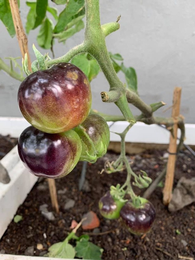 Hoa hậu Nguyễn Thị Huyền hiếm hoi 'nhá hàng' vài góc không gian sống - Ảnh 35.