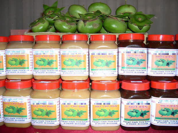 Loài cây mọc hoang, được người miền Tây chế biến món ăn dân dã, xuất khẩu sang nước ngoài bán trong siêu thị - Ảnh 5.