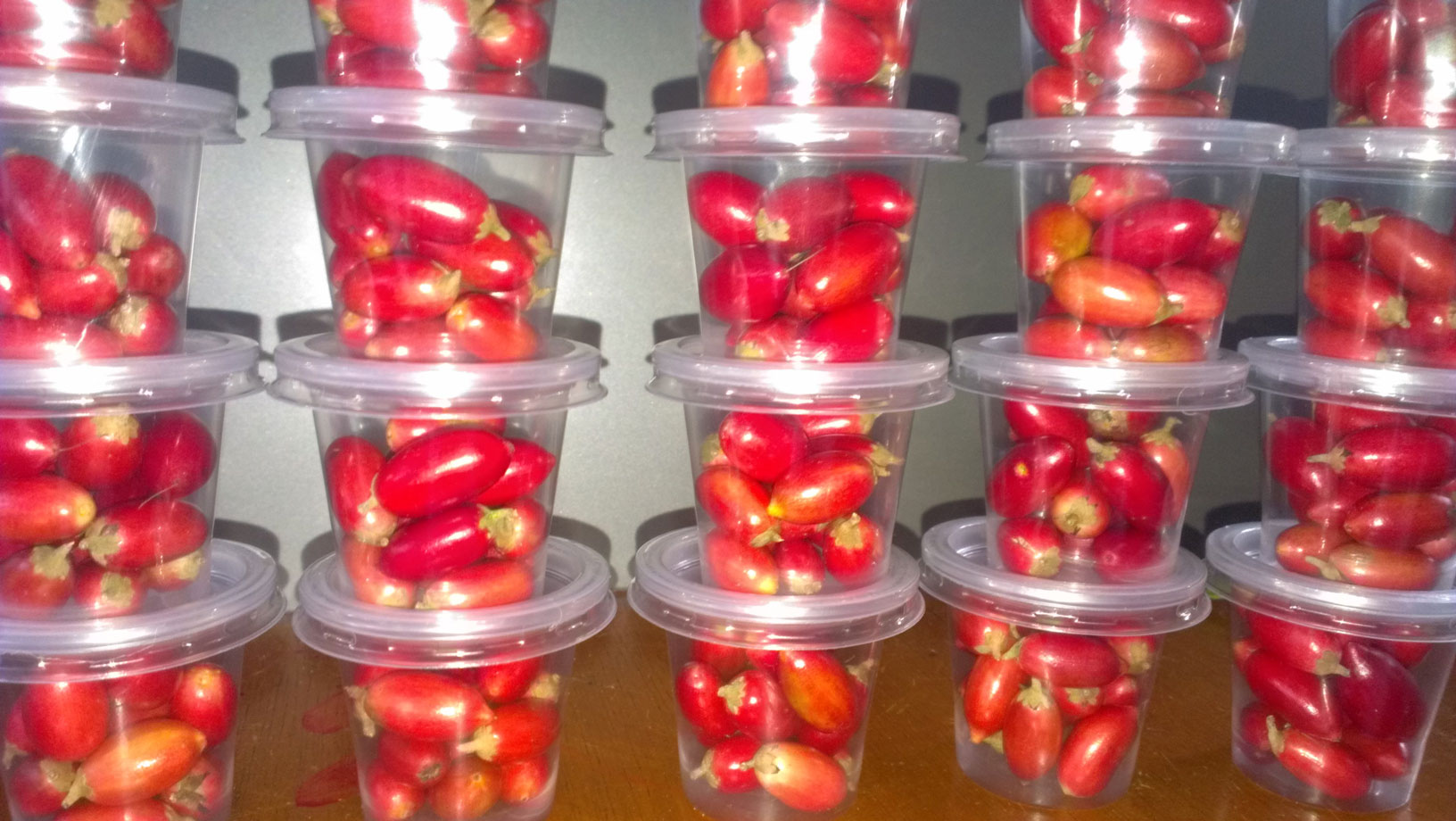 Biến vị chua thành ngọt lịm, “quả thần kỳ” tiếp tục gây sốt thị trường - Ảnh 2.