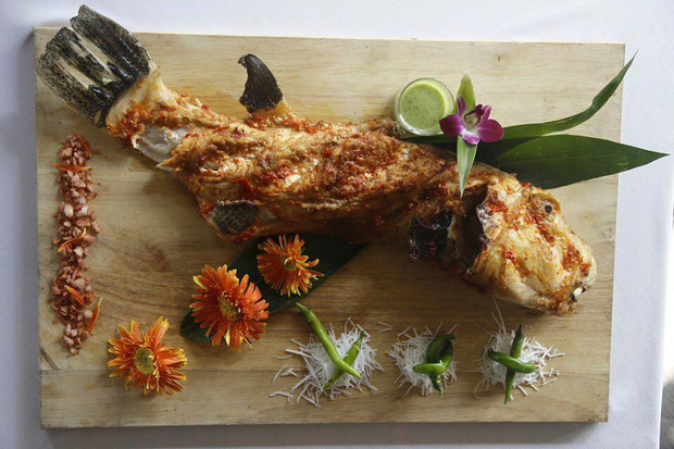 Mỹ nhân ngư có thể gây chết người nhưng nhiều người không tiếc tiền để mua - Ảnh 3.