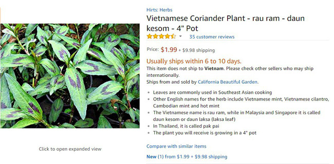 Rau răm ở Việt Nam 2.000 đồng/mớ, sang nước ngoài 250.000 đồng/mớ, còn phải chờ 6 - 10 ngày mới đến lượt mua - Ảnh 6.