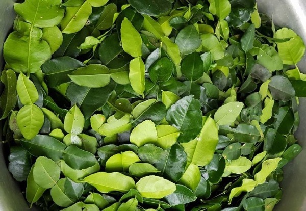 Lá chanh ở Việt Nam mọc đầy vườn, xin đâu cũng có nhưng mang sang nước ngoài bán 6,35 triệu đồng/kg - Ảnh 8.