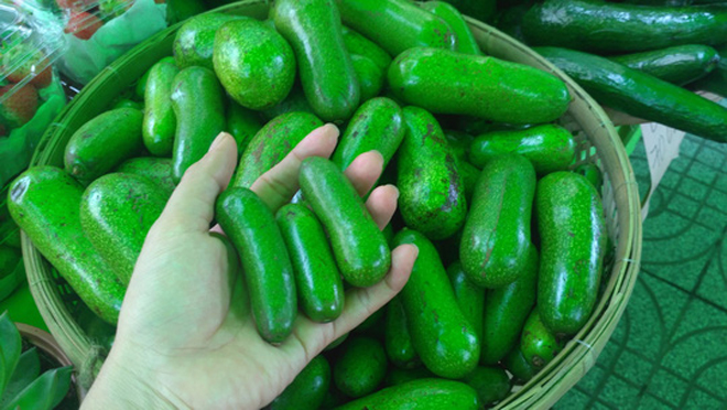 Bơ đực ăn đến nghiện, chị em săn lùng bằng được dù khó đặt hàng - Ảnh 1.