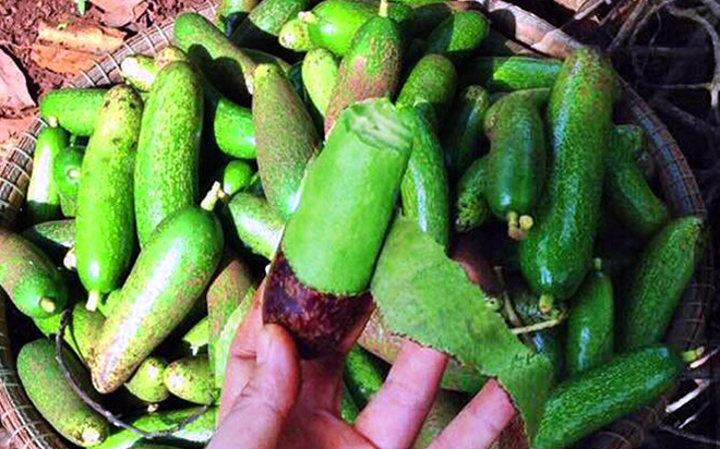 Bơ đực ăn đến nghiện, chị em săn lùng bằng được dù khó đặt hàng - Ảnh 5.