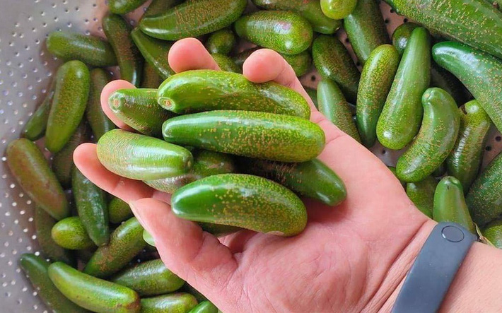 Bơ đực ăn đến nghiện, chị em săn lùng bằng được dù khó đặt hàng - Ảnh 6.