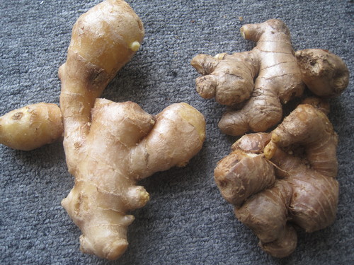 Gừng ta khác gừng Trung Quốc ở đặc điểm này, đừng nhầm lẫn khi mua thực phẩm Tết - Ảnh 1.