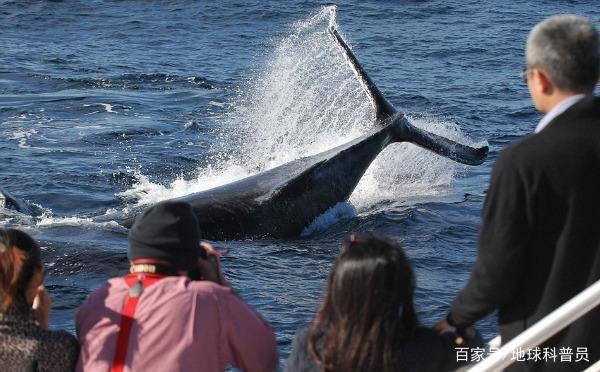 8 công việc lương cao khủng khiếp mà không phải ngồi hàng giờ trước máy tính - Ảnh 5.