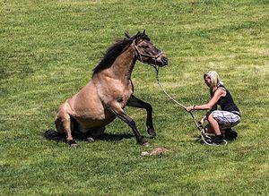 8 công việc lương cao khủng khiếp mà không phải ngồi hàng giờ trước máy tính - Ảnh 7.