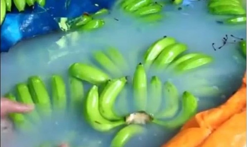 Tiểu thương chỉ điểm cách nhận biết chuối nhúng hóa chất để ép chín