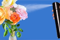7 cách đơn giản giúp hoa tươi lâu tại nhà