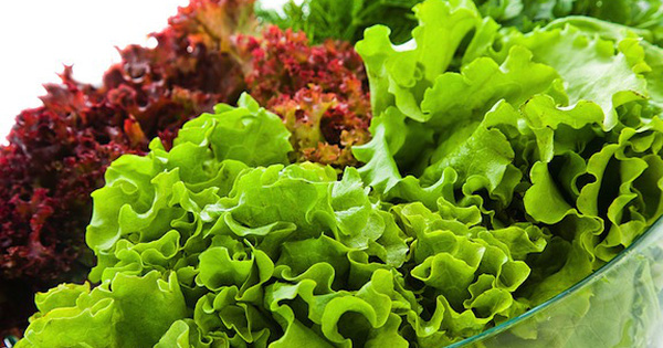 Nếu biết chỗ này phải mua xà lách 1 triệu/100 gram, nhiều người sẽ không còn dám phung phí