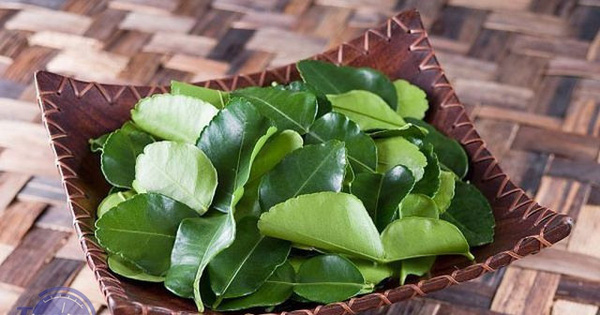 Lá chanh Việt Nam mọc đầy vườn, xin đâu cũng được, mang sang nước ngoài bán 6 triệu/kg