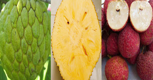 Năm loại trái cây không hạt 'làm mưa làm gió' trên thị trường