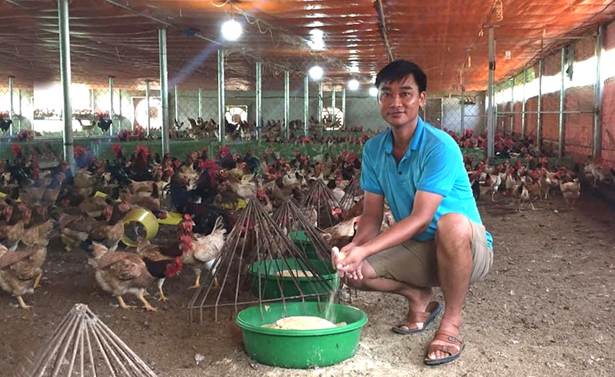Nhiều chuỗi liên kết phát huy hiệu quả