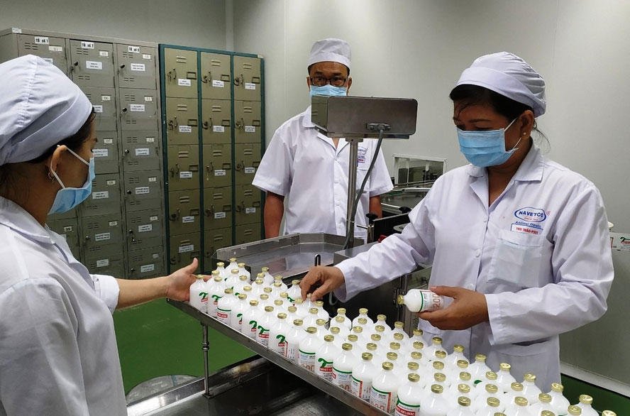 Vắc xin phòng chống cúm gia cầm: Hiệu quả và thời gian miễn dịch phụ thuộc vào người sử dụng
