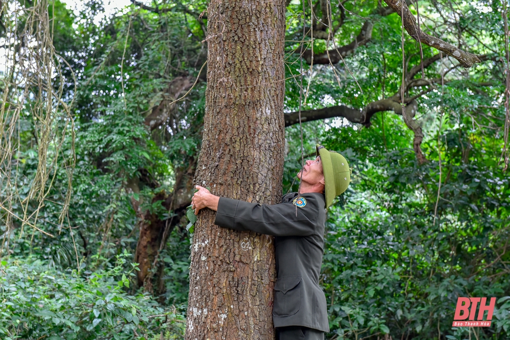 Thăm rừng sến lớn nhất Đông Nam Á tại Thanh Hóa