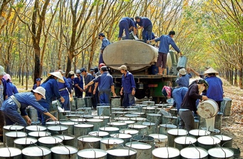 Nhượng hơn 2.000ha đất cho dự án sân bay Long Thành
