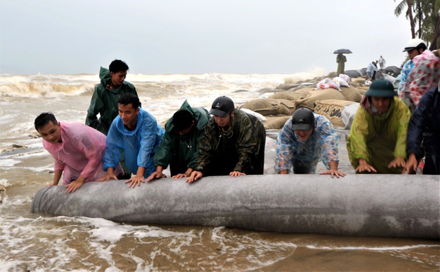 Nearly 100 people join in saving Hoi An beach from erosion