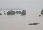 Rising Lam River submerges thousands of homes in Nghe An