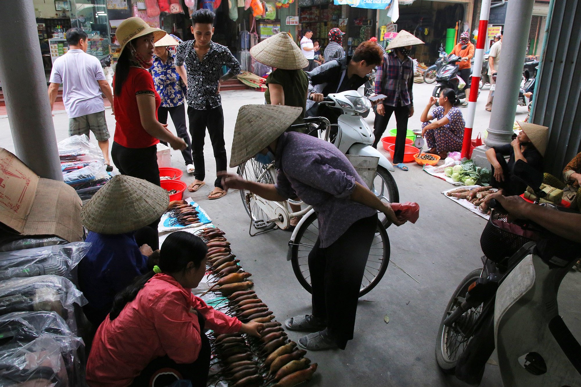 Rat meat dominates Hai Duong market