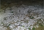 Hailstones hit northern Vietnam