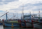 Thousands of fishing vessels face suspension