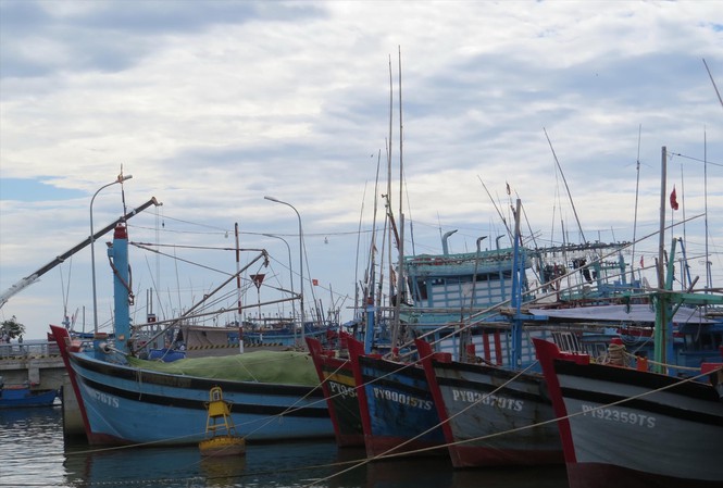 Thousands of fishing vessels face suspension