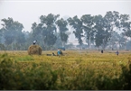 Straw burning worsens Hanoi air pollution